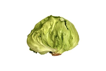 Šalát ľadový caliber 12ks/kartón I.trieda