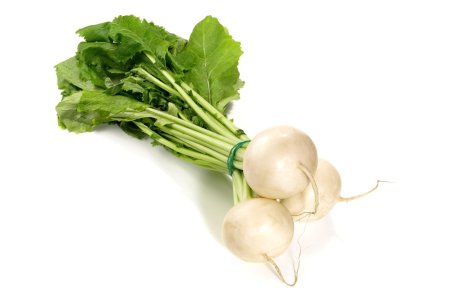 Reďkovka biela okruhla May Ruben zväzok