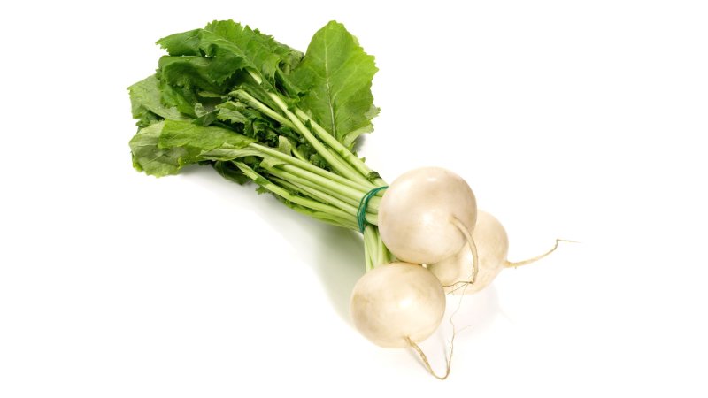 Reďkovka biela okruhla May Ruben zväzok