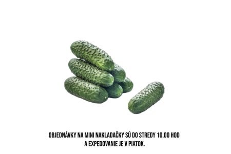 Uhorky Mini nakladačky 4-8cm 5kg/balenie