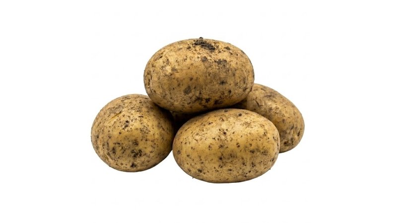 Zemiaky neskoré žlté neprané