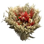 Kytica sušená Slamienka