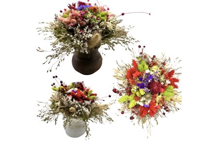 Kytica sušená v črepníku