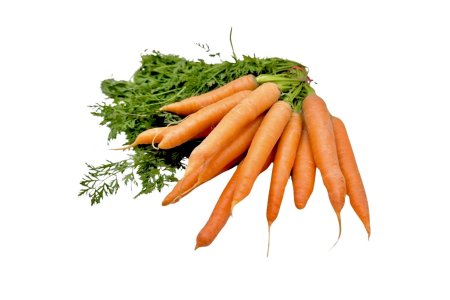 Mrkva zväzková /ks