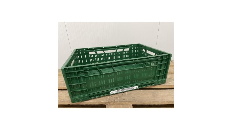 EURO POOL SYSTEM 216