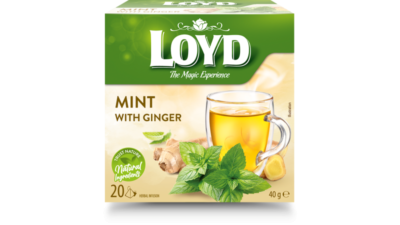 Čaj Loyd Mäta zázvor pyram. 20x2g