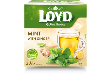 Čaj Loyd Mäta zázvor pyramídy 20x2g