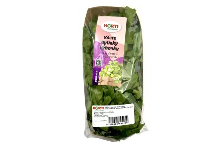 HORTI Petržlenová vňať hladká 100g