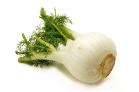 Fenikel voľný Kg I.trieda