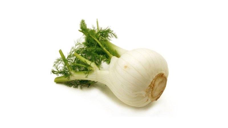 Fenikel voľný Kg I.trieda