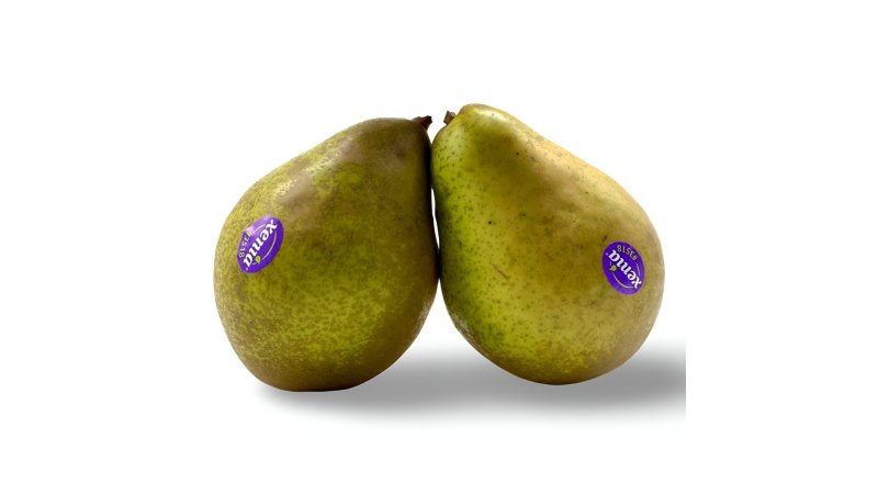 Hrušky XÉNIA I.tr.