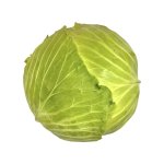 Kapusta biela PLOCHÁ