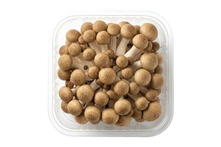 Huby Shimeji hnedé 150g
