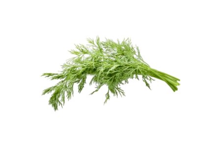 Kôpor voľný /Kg