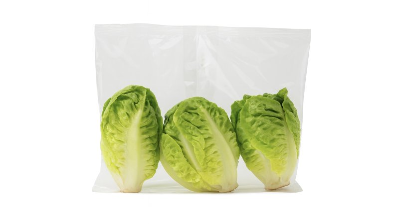 Šalátové srdiečka Little Gem  I. trieda