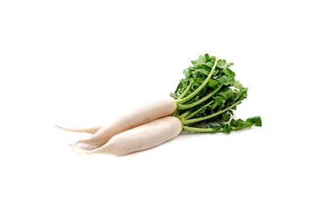 Reďkovka biela dlhá /ks