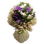 Kytica sušená Slamienka