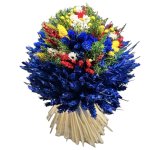 Kytica sušená Slamienka