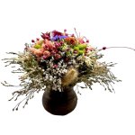 Kytica sušená v črepníku