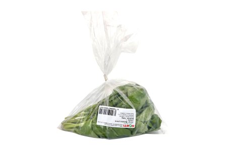 HORTI Bazalka 100g