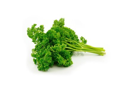 Petržlenová vňať kučeravá /Kg