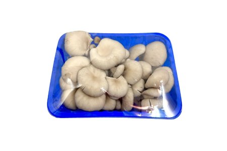 Hliva ustricová balená 300g