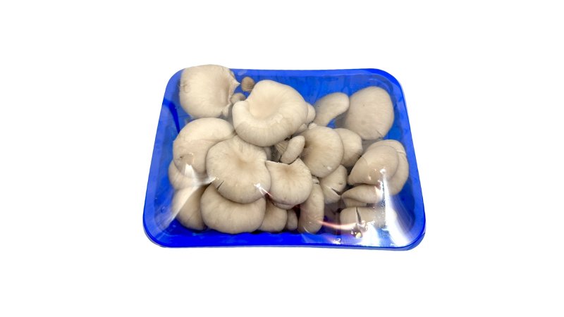 Hliva ustricová balená 300g