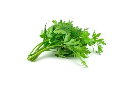 Petržlenová vňať hladká /Kg