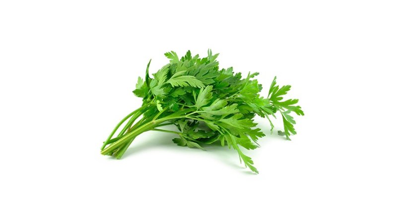 Petržlenová vňať hladká /Kg
