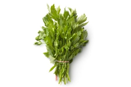 HORTI Ligurček lekársky 100g
