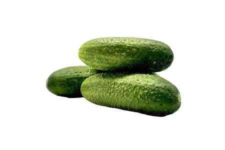 Uhorky nakladačky prerastky /Kg