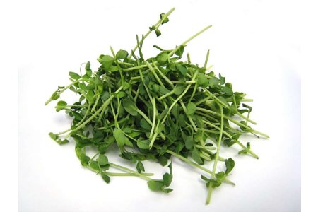 Výhonky zelený hrášok 100 g