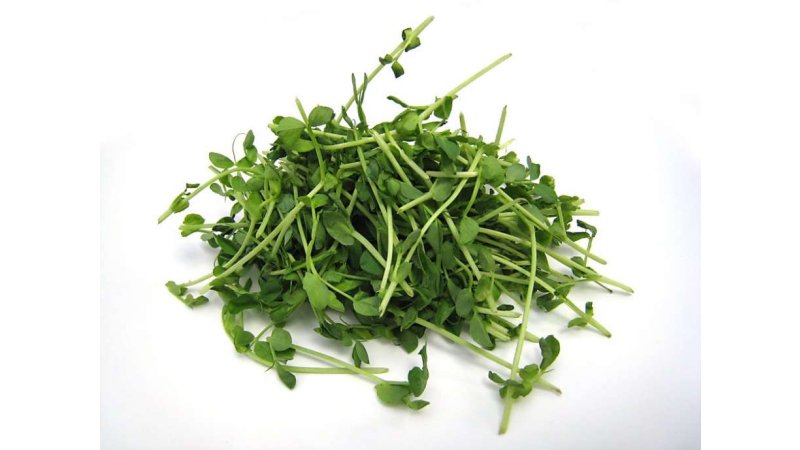 Výhonky zelený hrášok 100 g