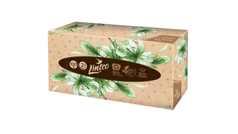 Vreckovy kozmetické box Linteo 100ks 2v