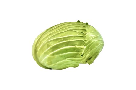 Kapusta biela PLOCHÁ