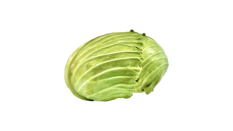 Kapusta biela PLOCHÁ