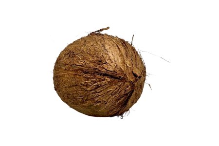 Kokosový orech /ks