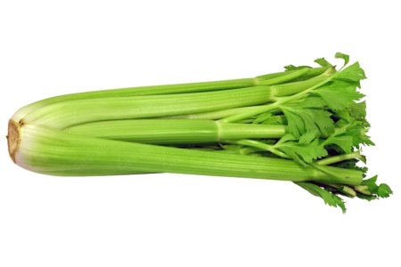 Zeler stonkový SEDANO /ks