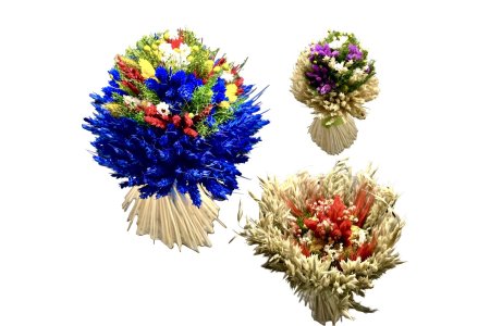 Kytica sušená Slamienka