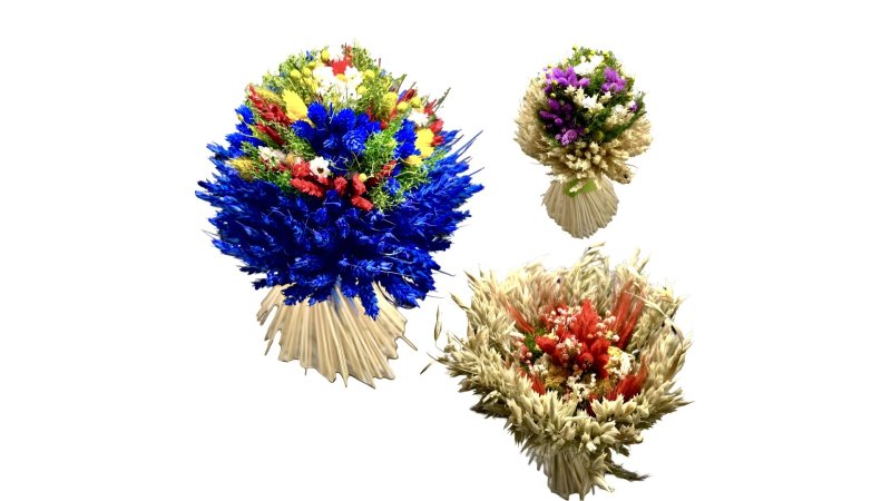 Kytica sušená Slamienka