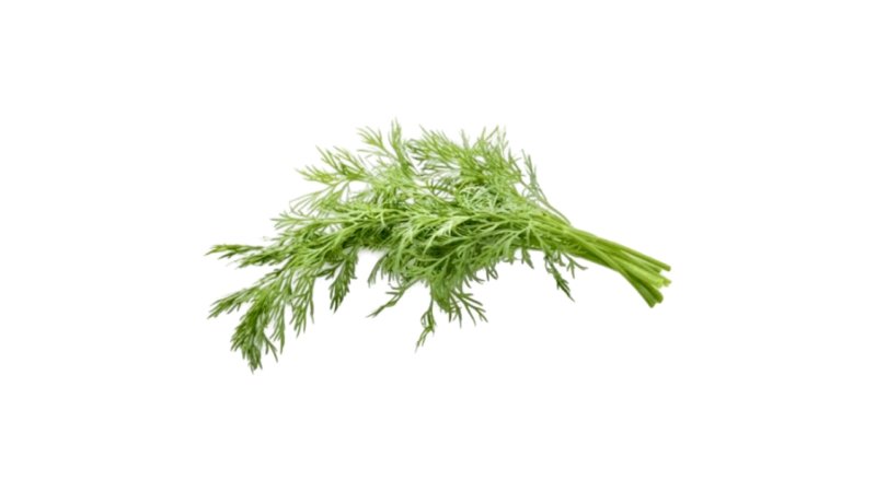 Kôpor voľný /Kg
