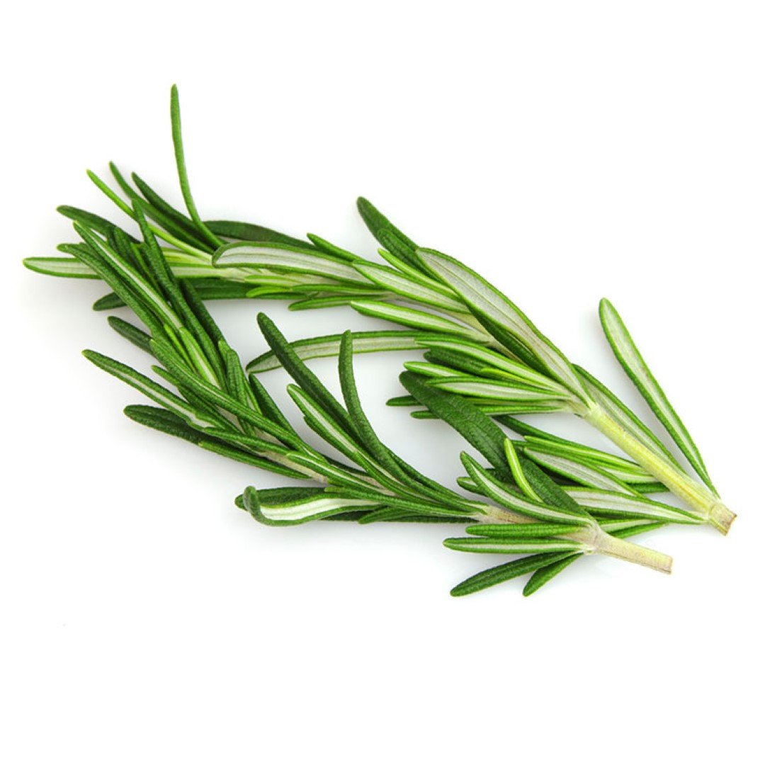 Rozmarín 30g • Horti.sk